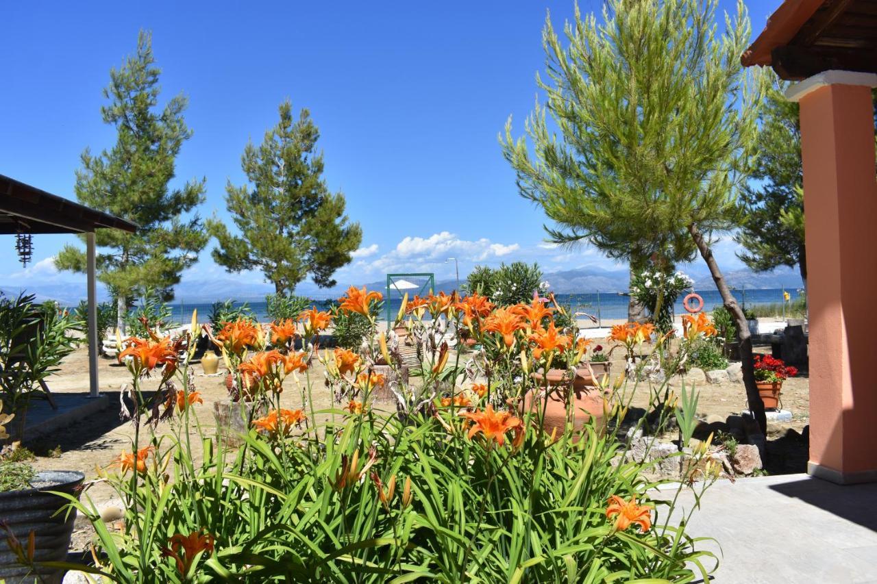Bouka Beachfront Bungalows Agios Nikolaos  Luaran gambar